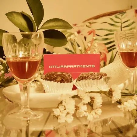 Otilia Apartment *